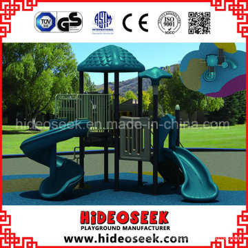 Ce Certificate Outdoor Playground Equipment con Slide